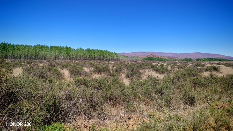 4 Bedroom Property for Sale in Middelburg Rural Eastern Cape